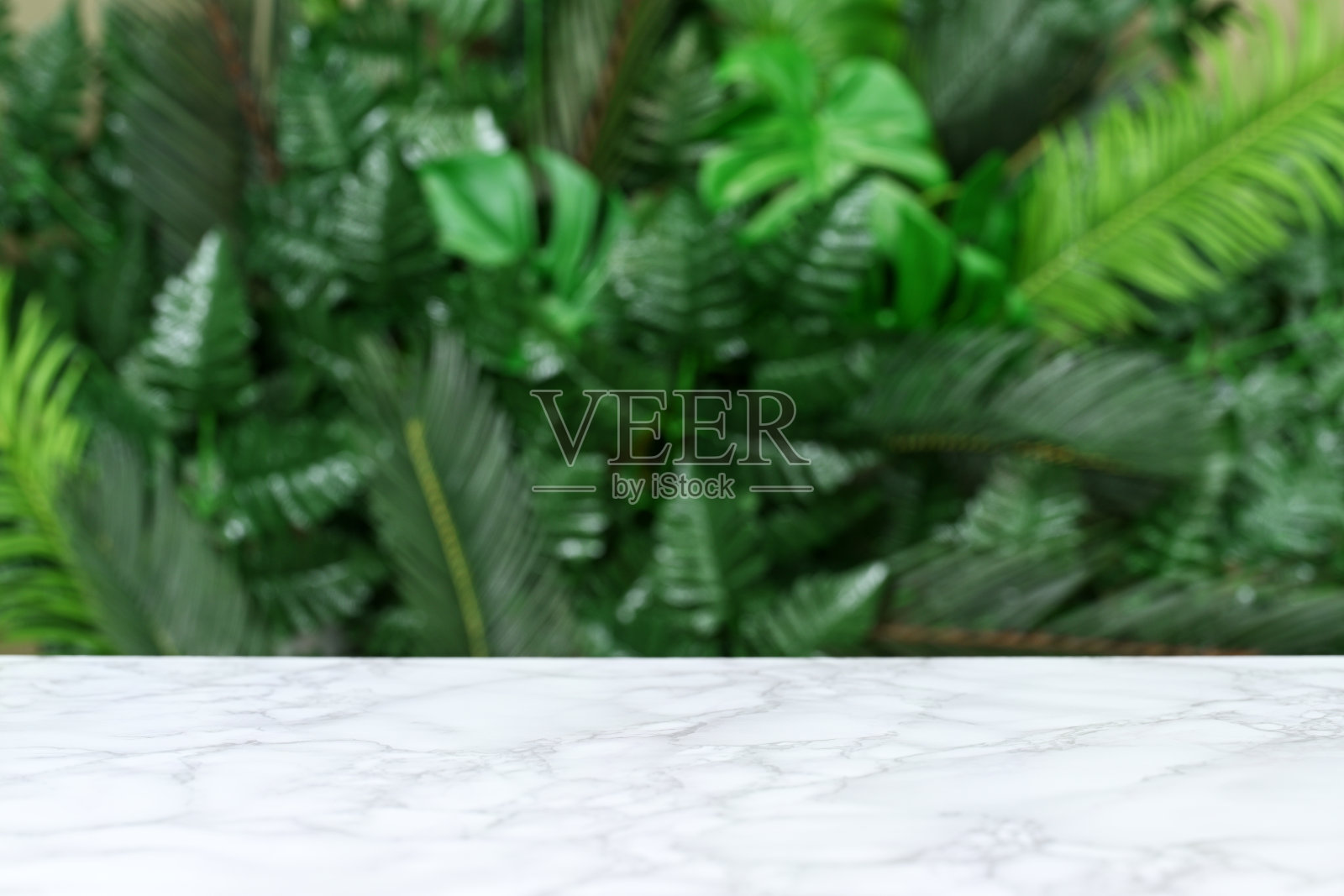 带圆形支架和热带叶子的展示样品照片摄影图片