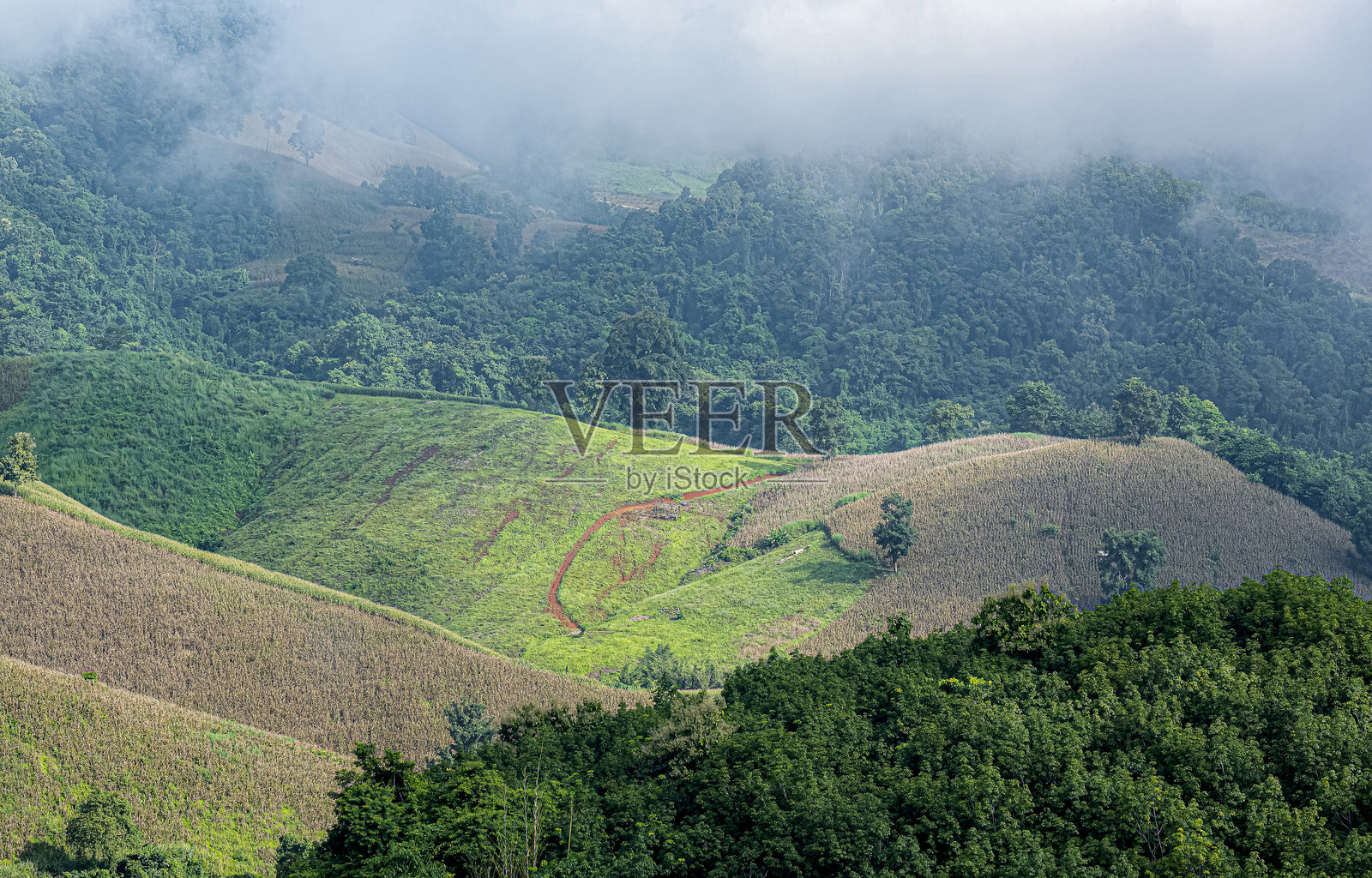 美丽的绿色山脉风景点和森林中的雾气，南省。照片摄影图片