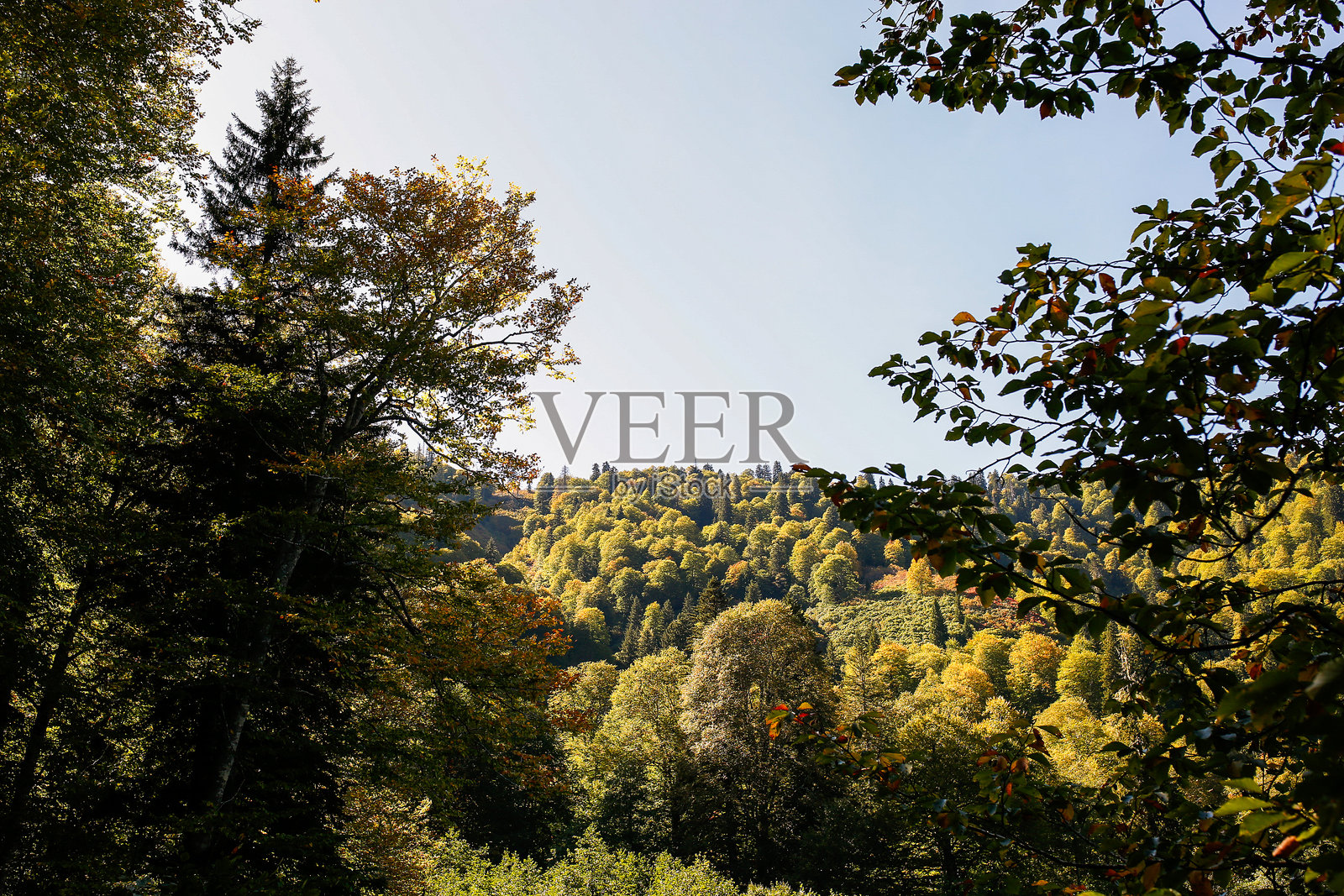 Karagöl（黑湖）Savsat，阿尔特温，土耳其的风景照片摄影图片