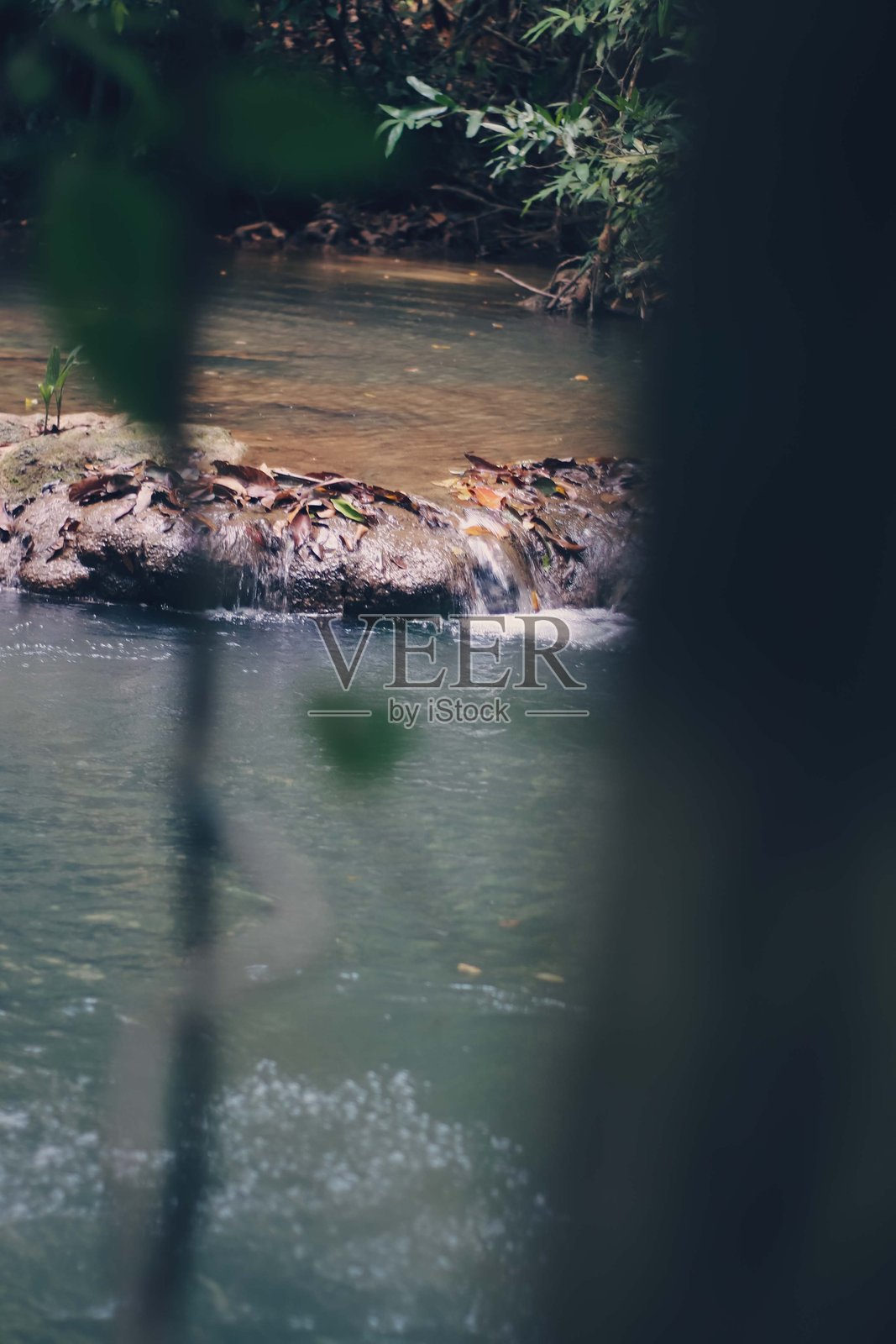 森林中的河流，水面倒映着自然背景。照片摄影图片