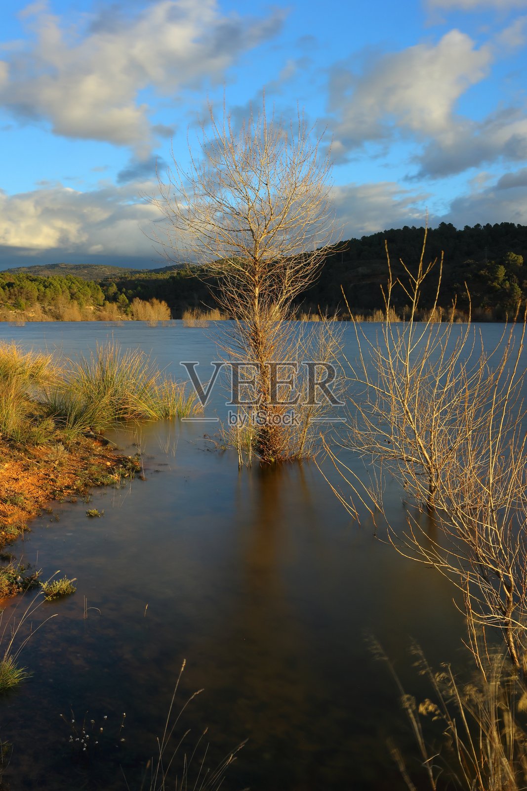 情侣水库，水面呈丝绸效果，树木为主角照片摄影图片
