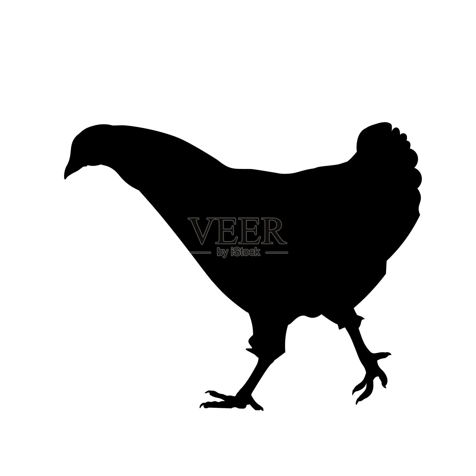 鸡的黑色剪影。插画图片素材