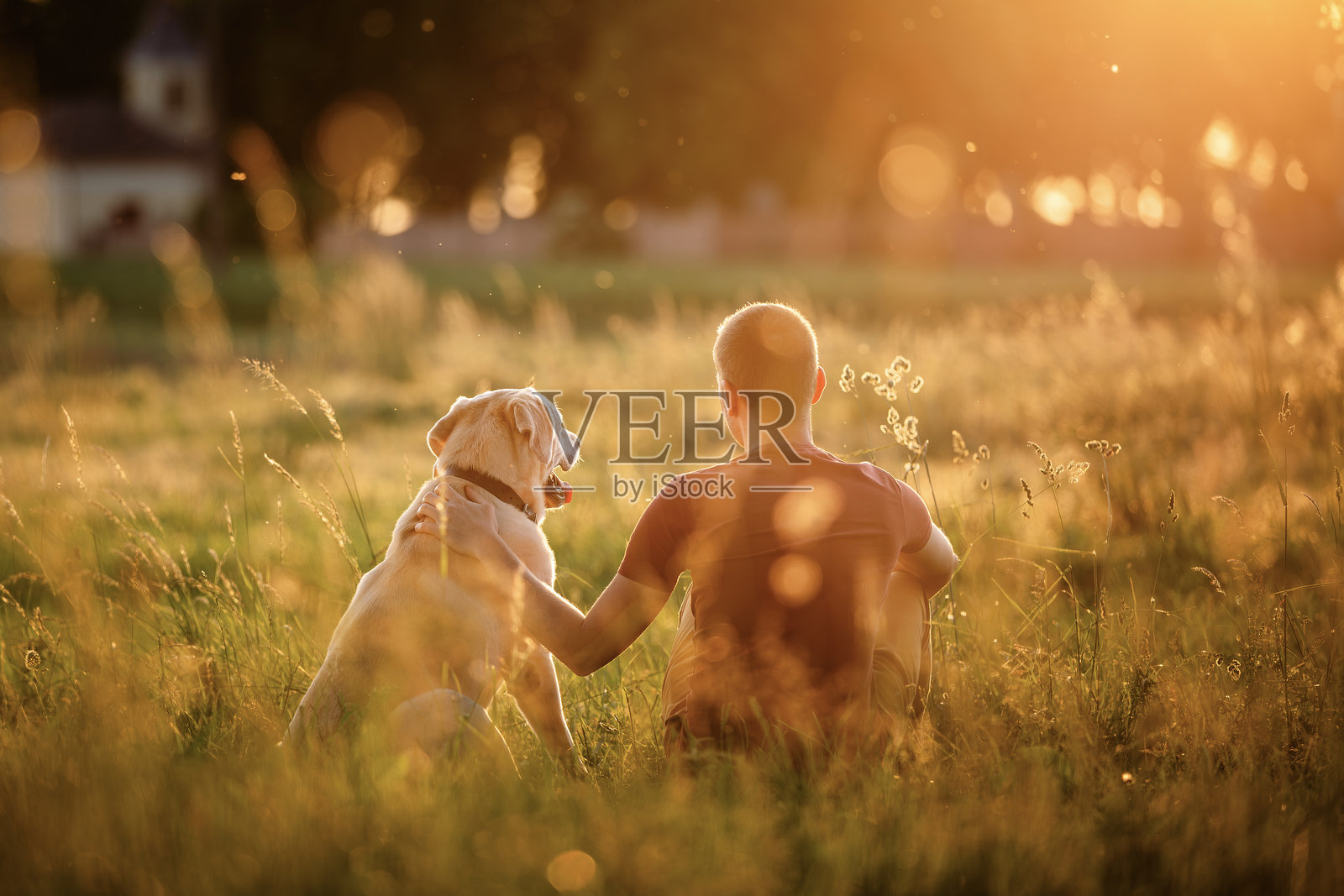 男人与他的拉布拉多猎犬一起享受田园诗般的夏日日落。照片摄影图片