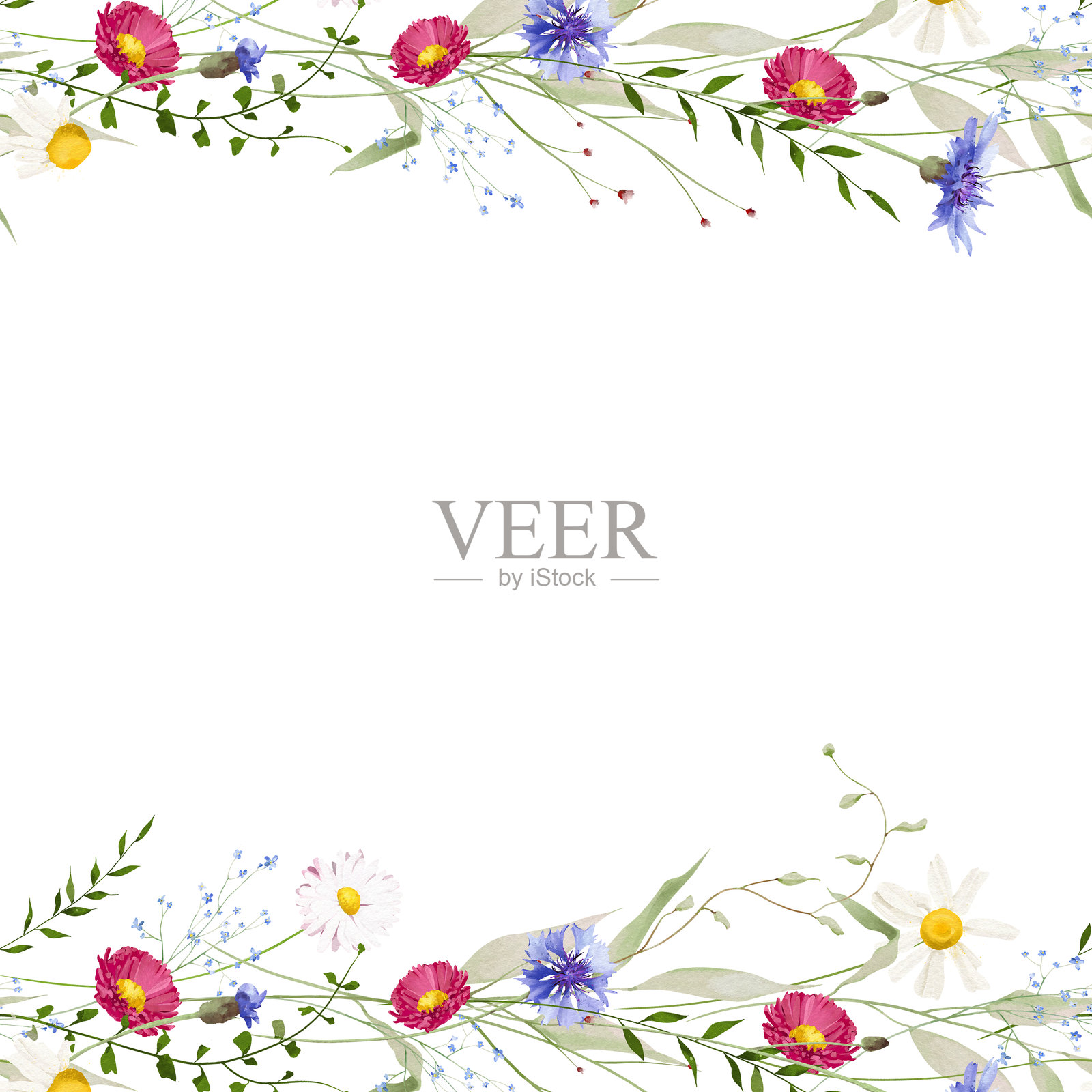 水彩花卉无缝边框。草地红雏菊、蓝色勿忘我、野生洋甘菊、绿色枝条和叶子插画图片素材