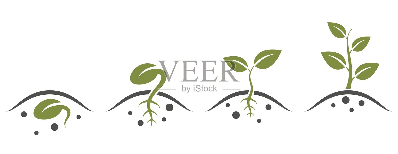 植物生长图标集。从种子到树的生长过程。种子发芽、种植和幼苗符号。插画图片素材