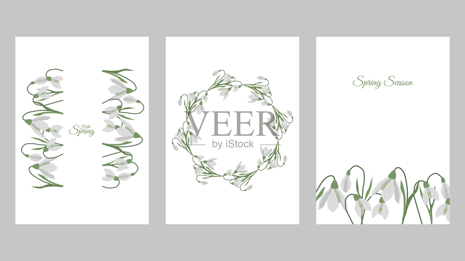 春天问候模板海报或卡片套装。插画图片素材