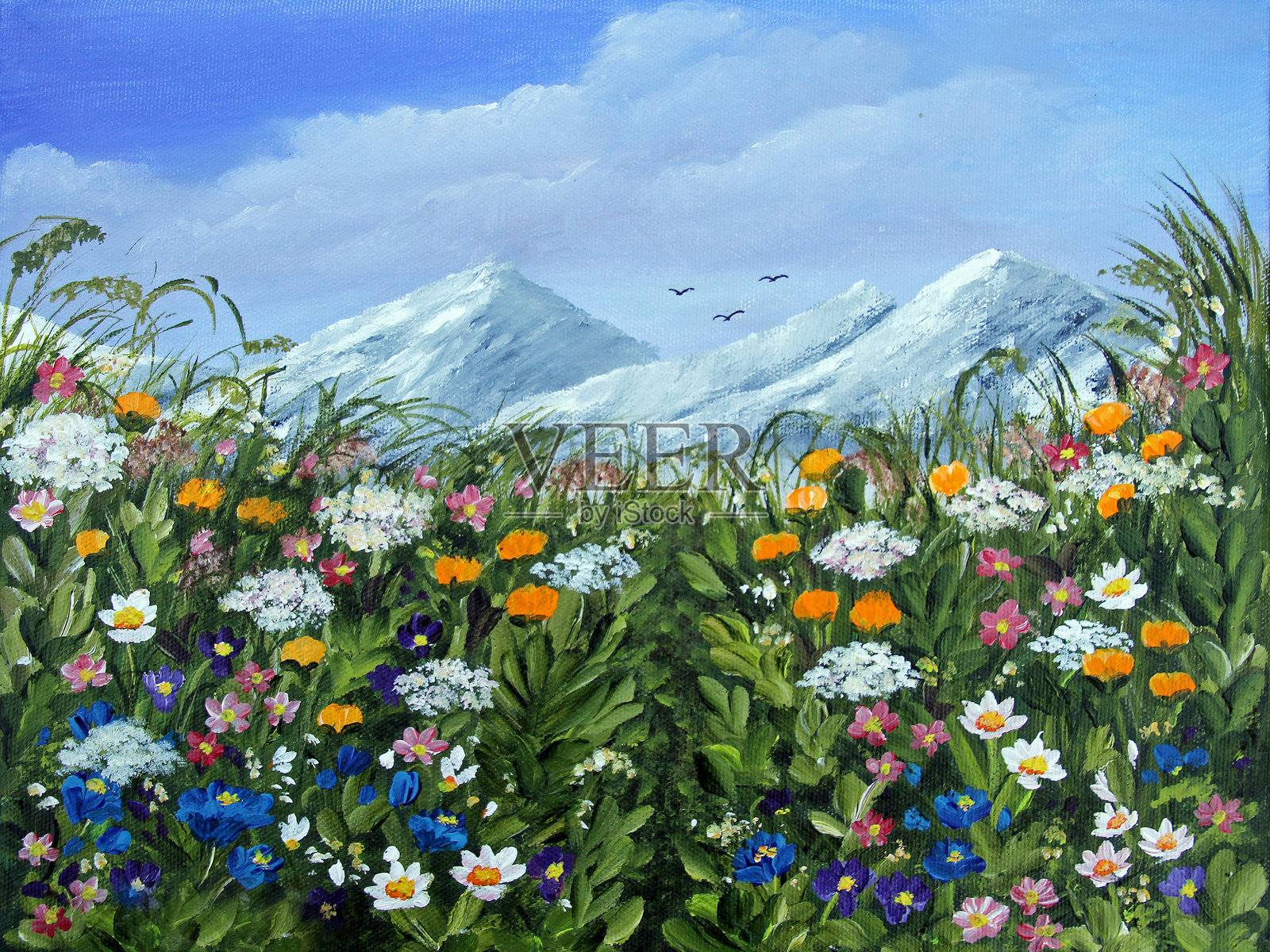 瑞士阿尔卑斯花卉插画图片素材