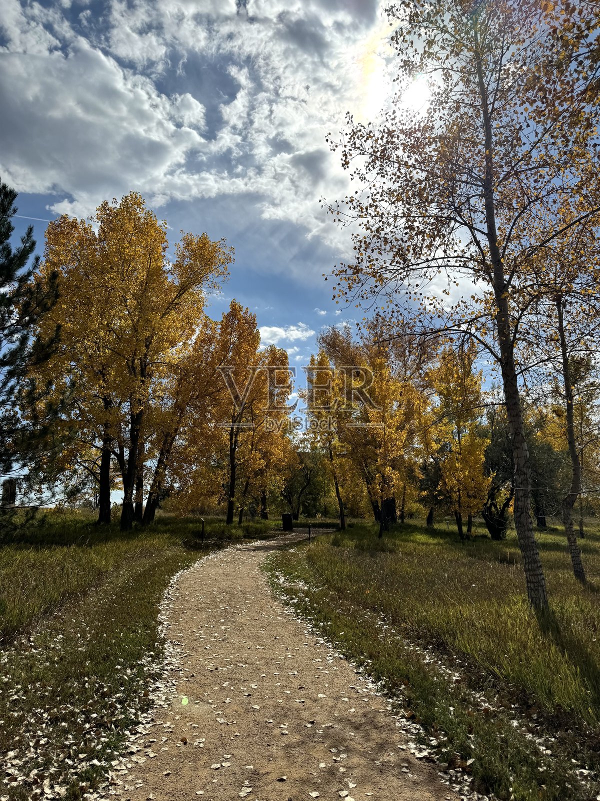 秋天在公园散步照片摄影图片