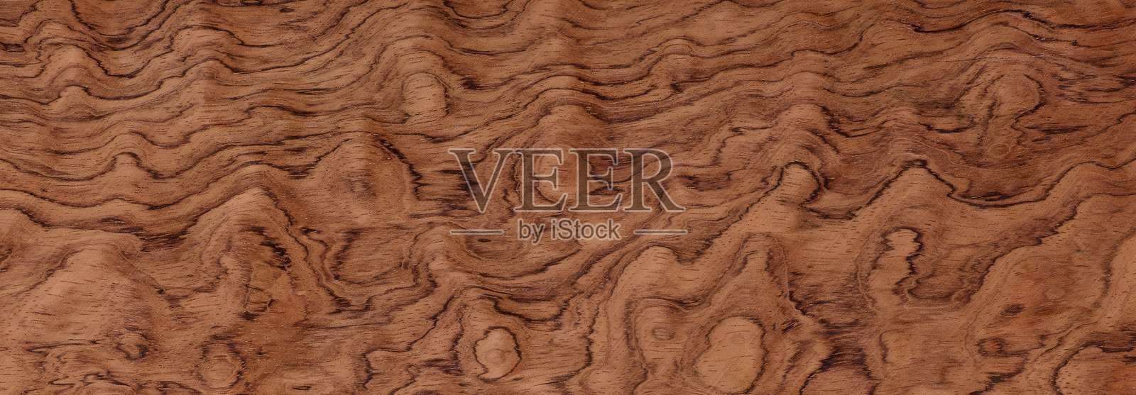 橡木纹理设计背景。木质背景。具有自然图案的木纹。乡村风格的木纹。真实的自然木纹和表面背景。照片摄影图片