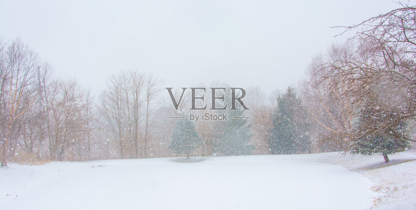 印第安纳州霍华德县的暴风雪中的冰冻湖泊照片摄影图片