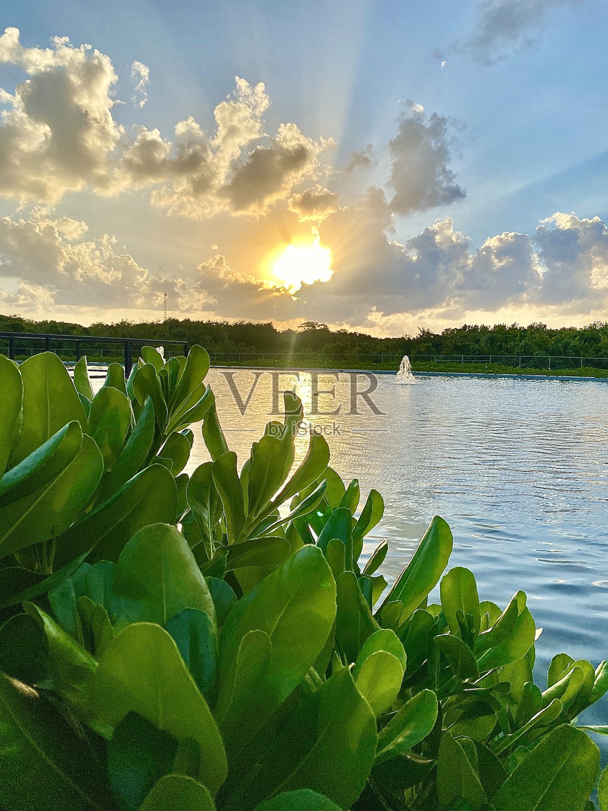 日落照片摄影图片