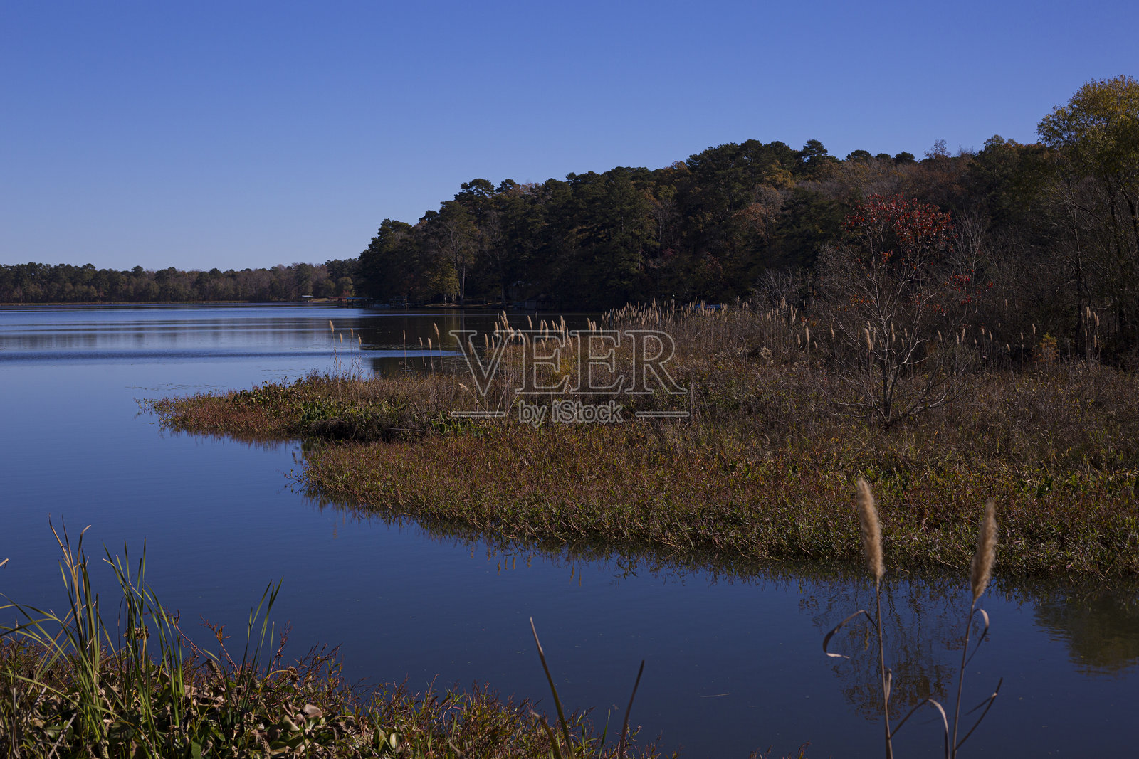 迪克西泉湖照片摄影图片