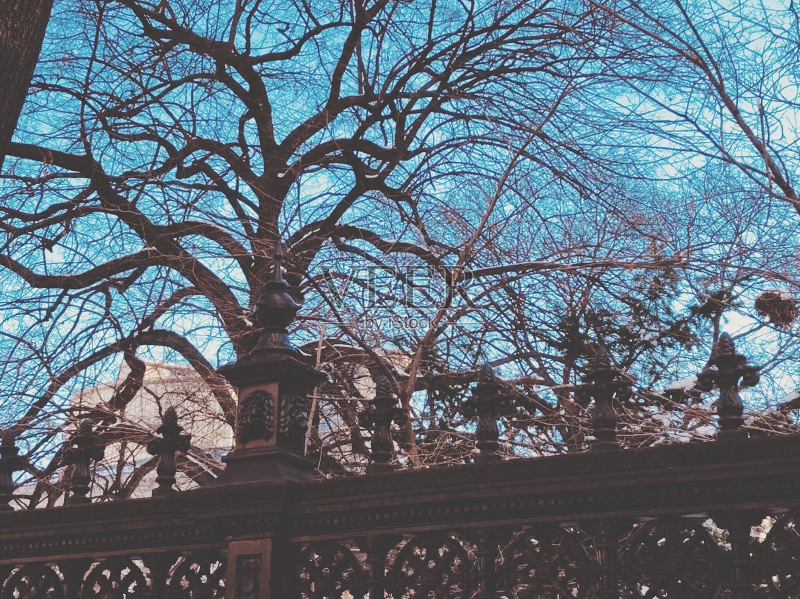 多伦多的女王街照片摄影图片