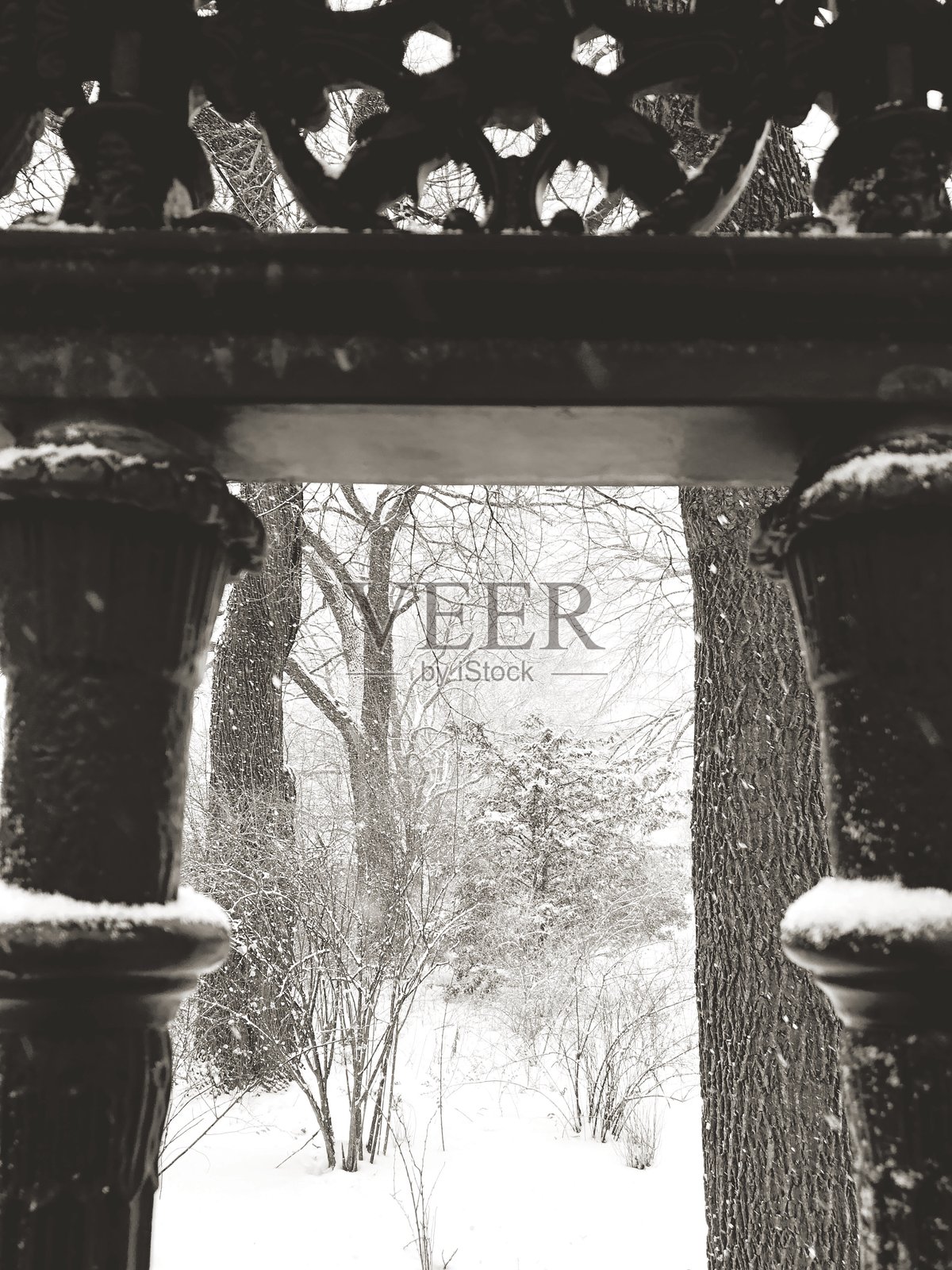 多伦多的女王街照片摄影图片