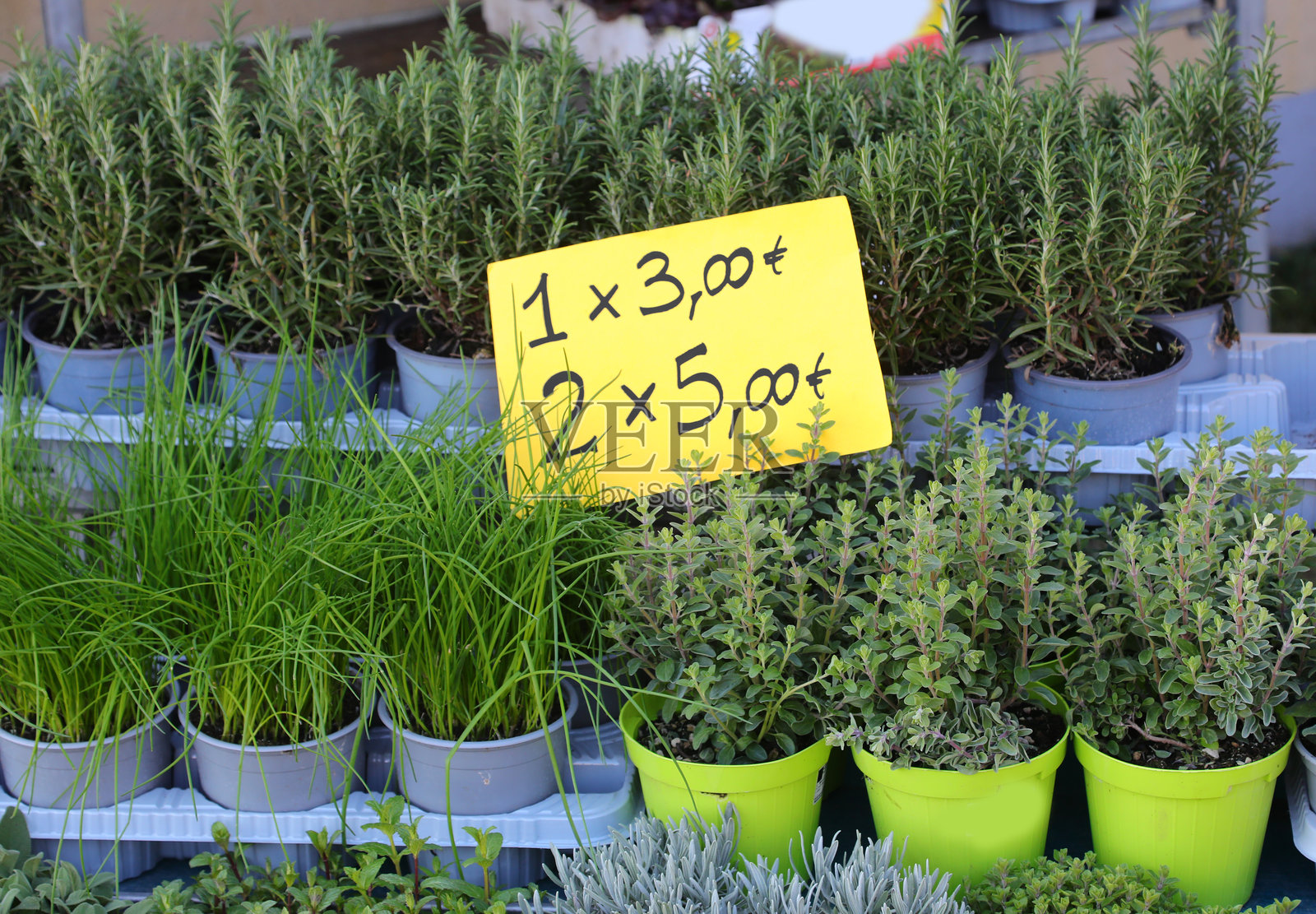 带价格标签的盆栽香草，包括迷迭香照片摄影图片