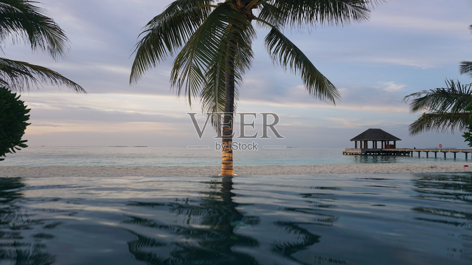 日落时分的棕榈树、游泳池和海滩景观照片摄影图片