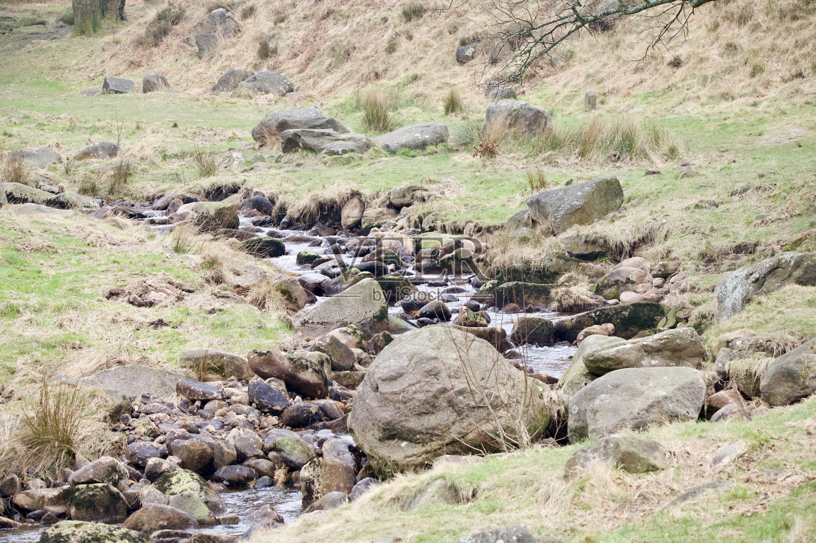 水流过岩石和草丛照片摄影图片