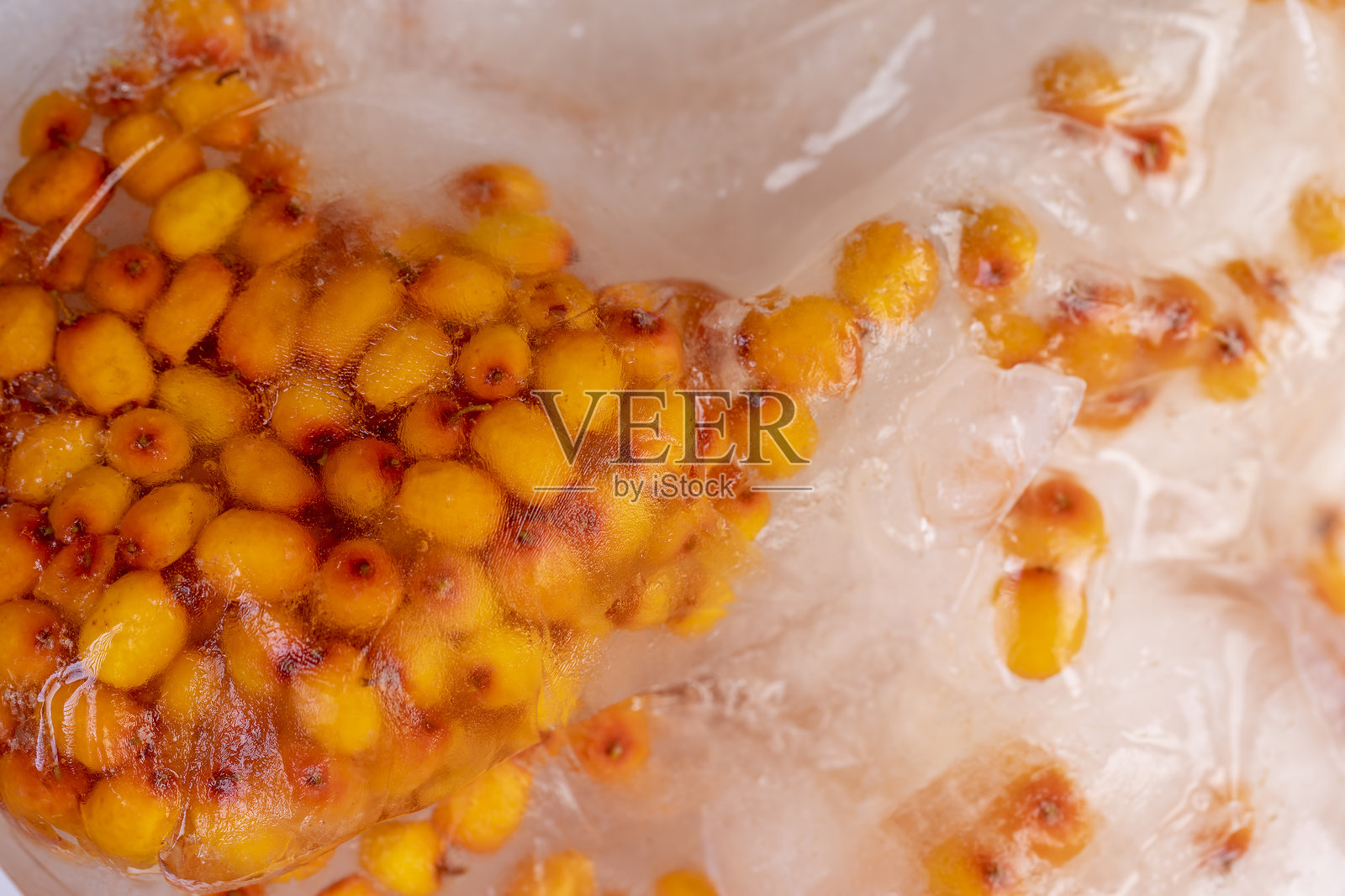 成熟的橙色沙棘浆果冷冻在水中照片摄影图片