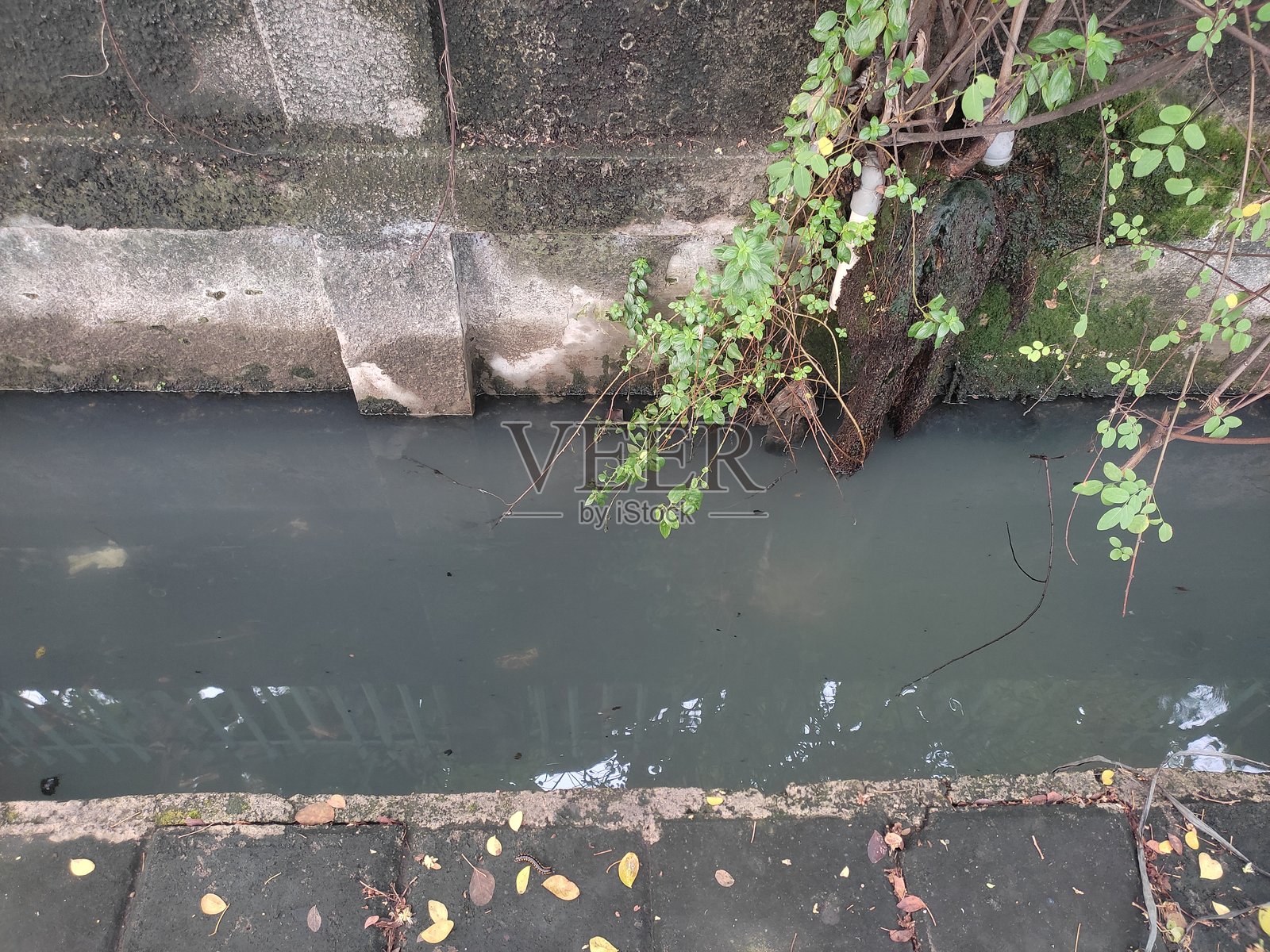 含有家庭废水的肮脏沟渠。照片摄影图片