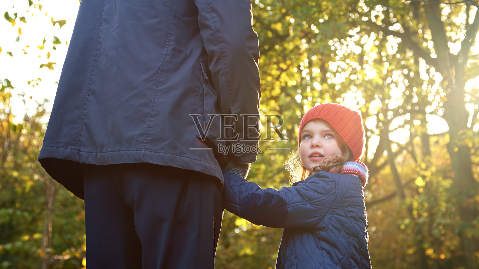秋天在乡间散步时，慈爱的祖父与孙女手牵手的特写镜头照片摄影图片