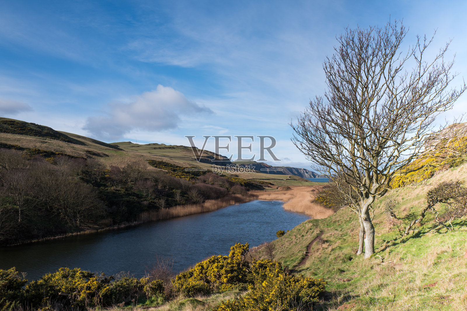 圣艾布斯沼泽湖照片摄影图片