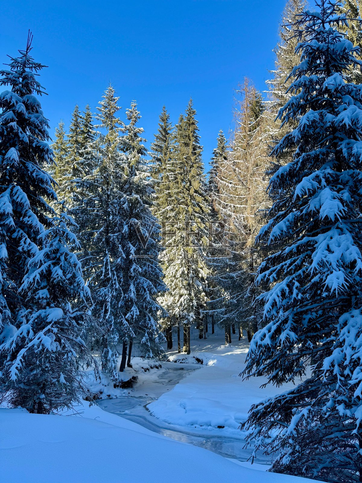 冬季仙境在等待着你！❄️☀️照片摄影图片