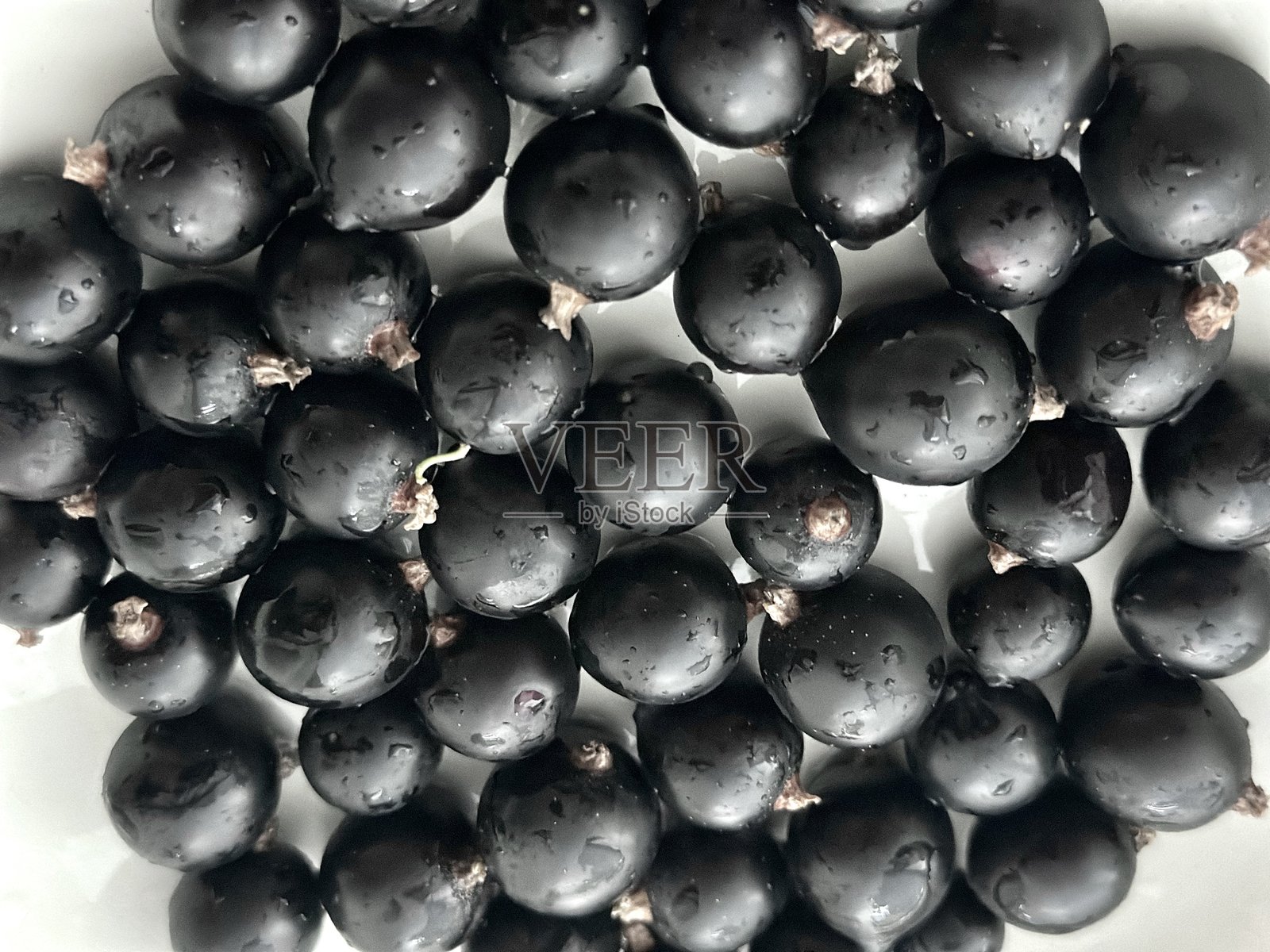 白色背景上的黑加仑，孤立，有机，生态，素食食品照片摄影图片