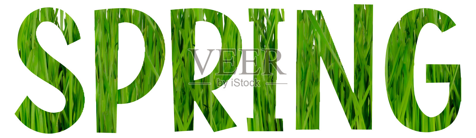 绿色的草地像春天一样照片摄影图片