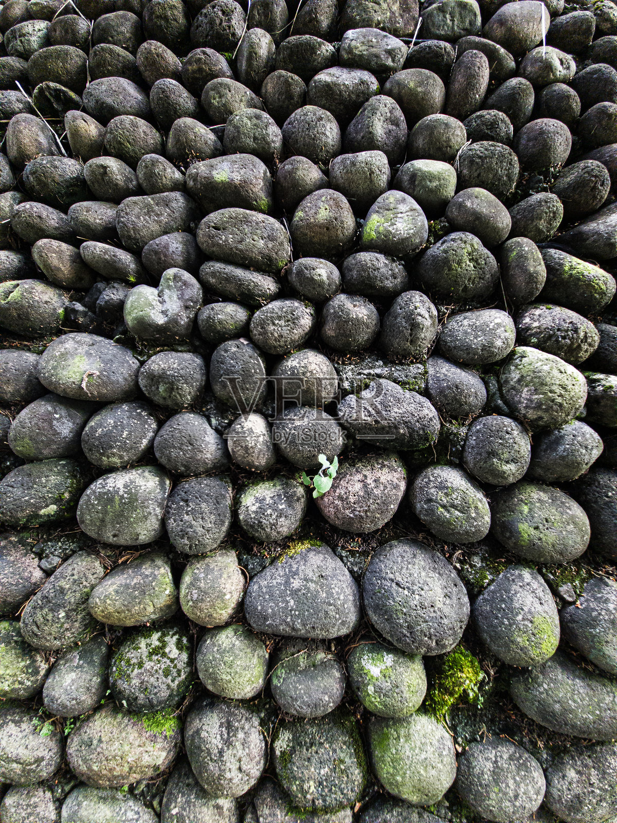 岩石的纹理照片摄影图片