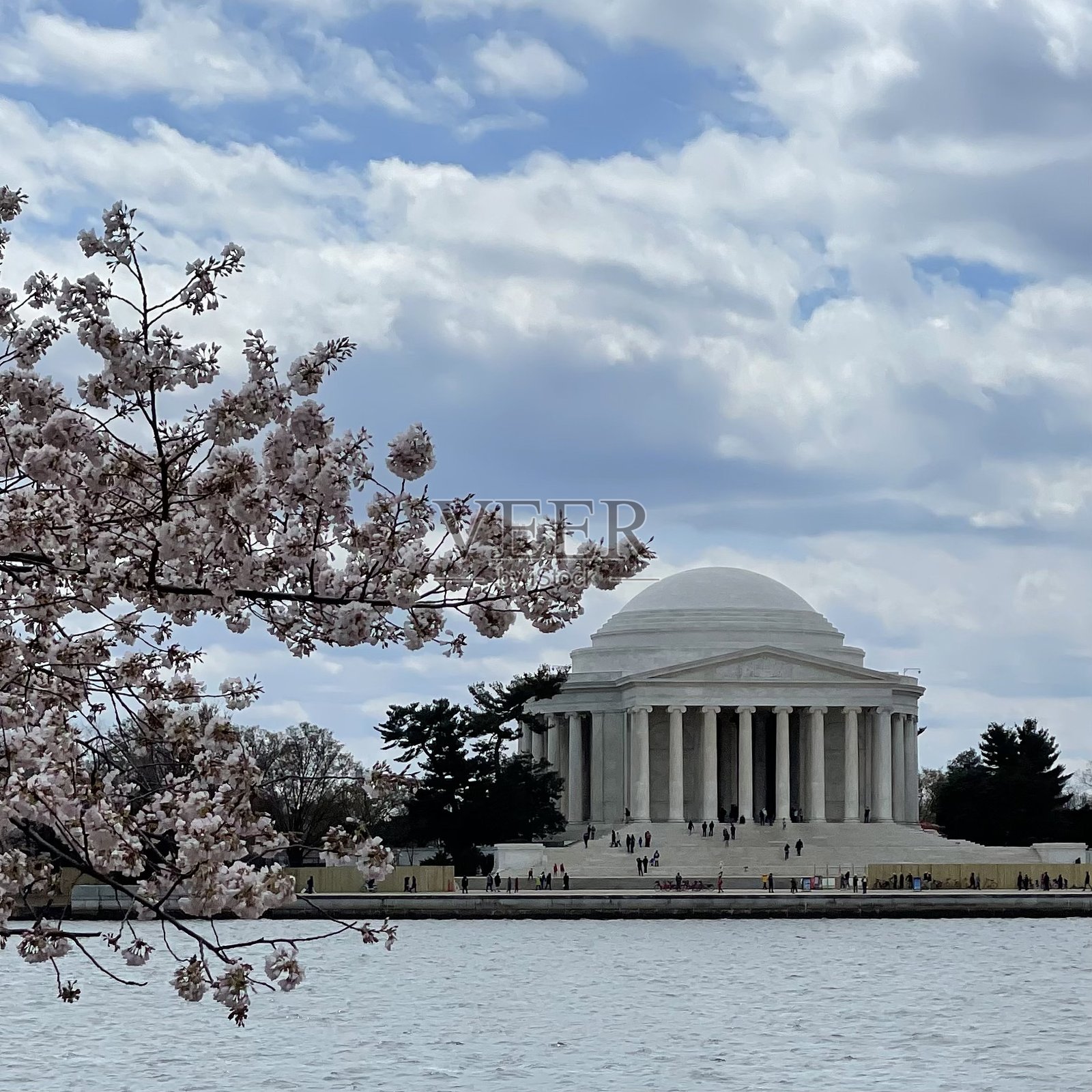 杰斐逊纪念馆与樱花照片摄影图片