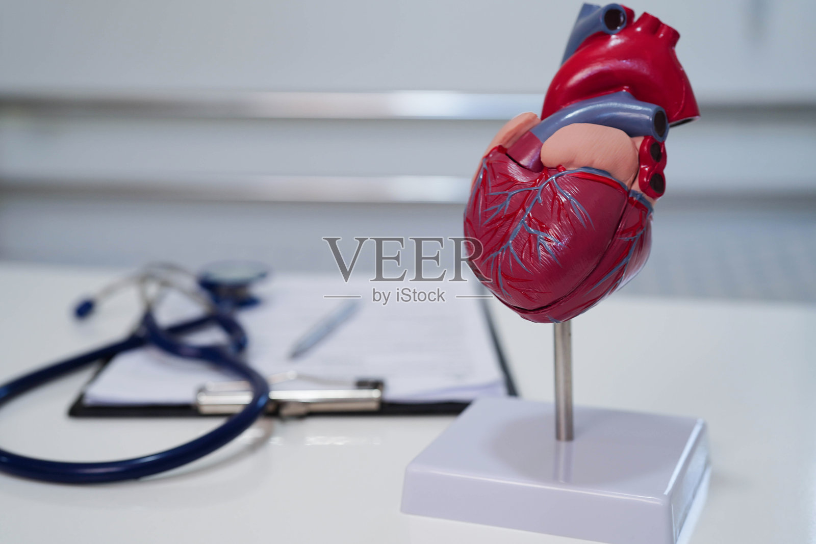 心血管疾病（CVD），医生使用人类心脏模型进行治疗患者。照片摄影图片