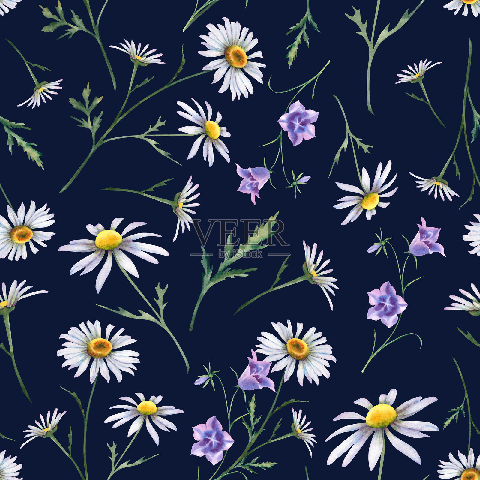 雏菊和蓝铃花，深色背景上的无缝图案。手绘野花的水彩插图。适用于布料、壁纸、明信片装饰的装饰图案。插画图片素材