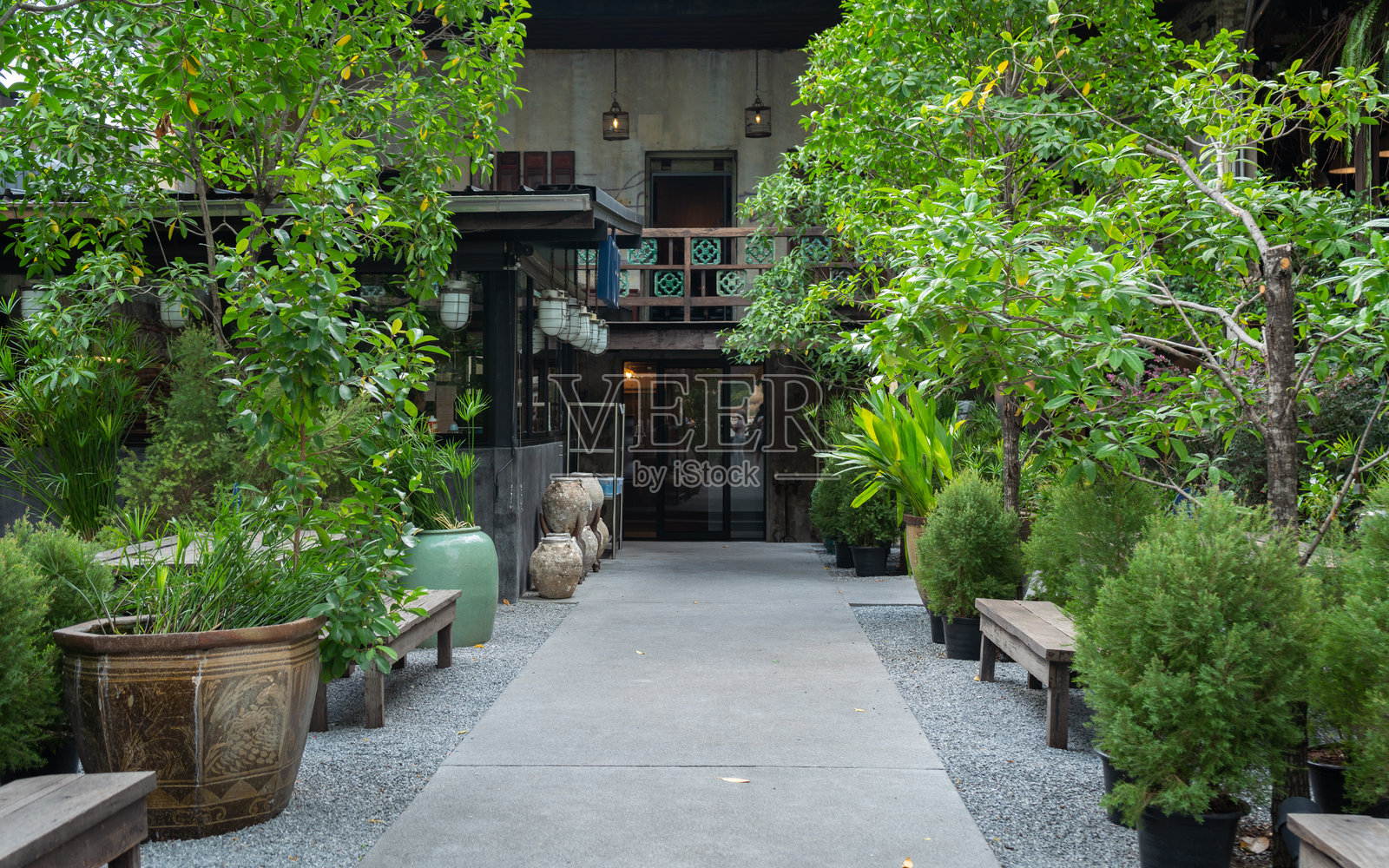 景观花园设计的人行道与植物种植。照片摄影图片