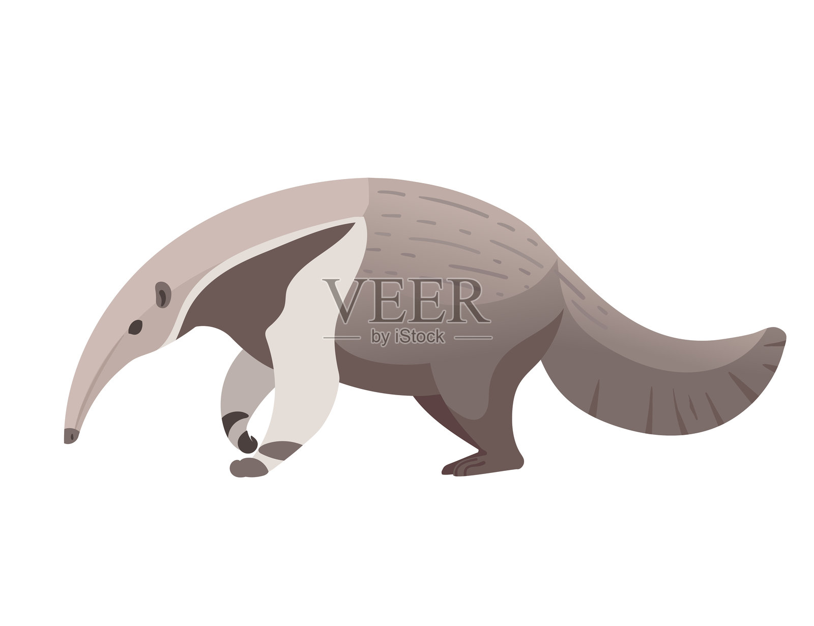 穿山甲卡通动物设计矢量插图，背景为白色插画图片素材