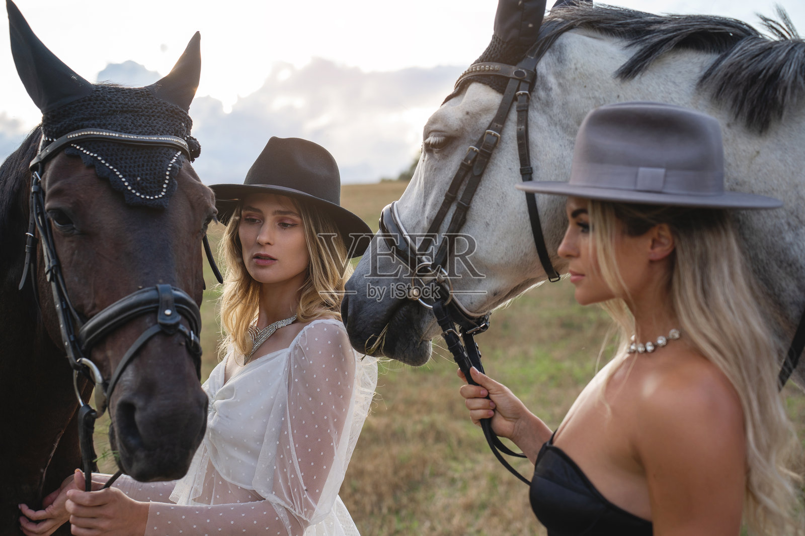 身穿时尚服装的女性与两匹马在开阔乡村中照片摄影图片