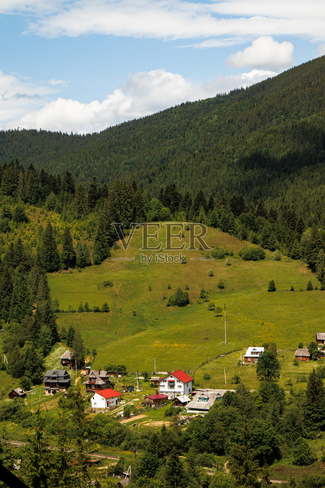 乌克兰的田野和草地照片摄影图片