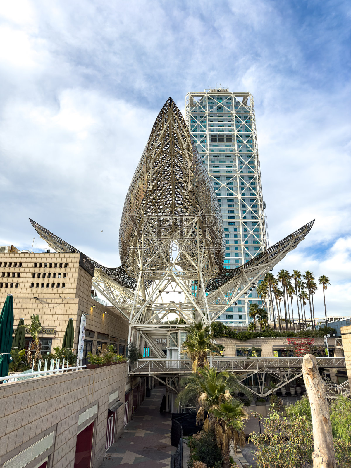 巴塞罗那巴尔塞罗内塔海滩的金鱼雕塑照片摄影图片