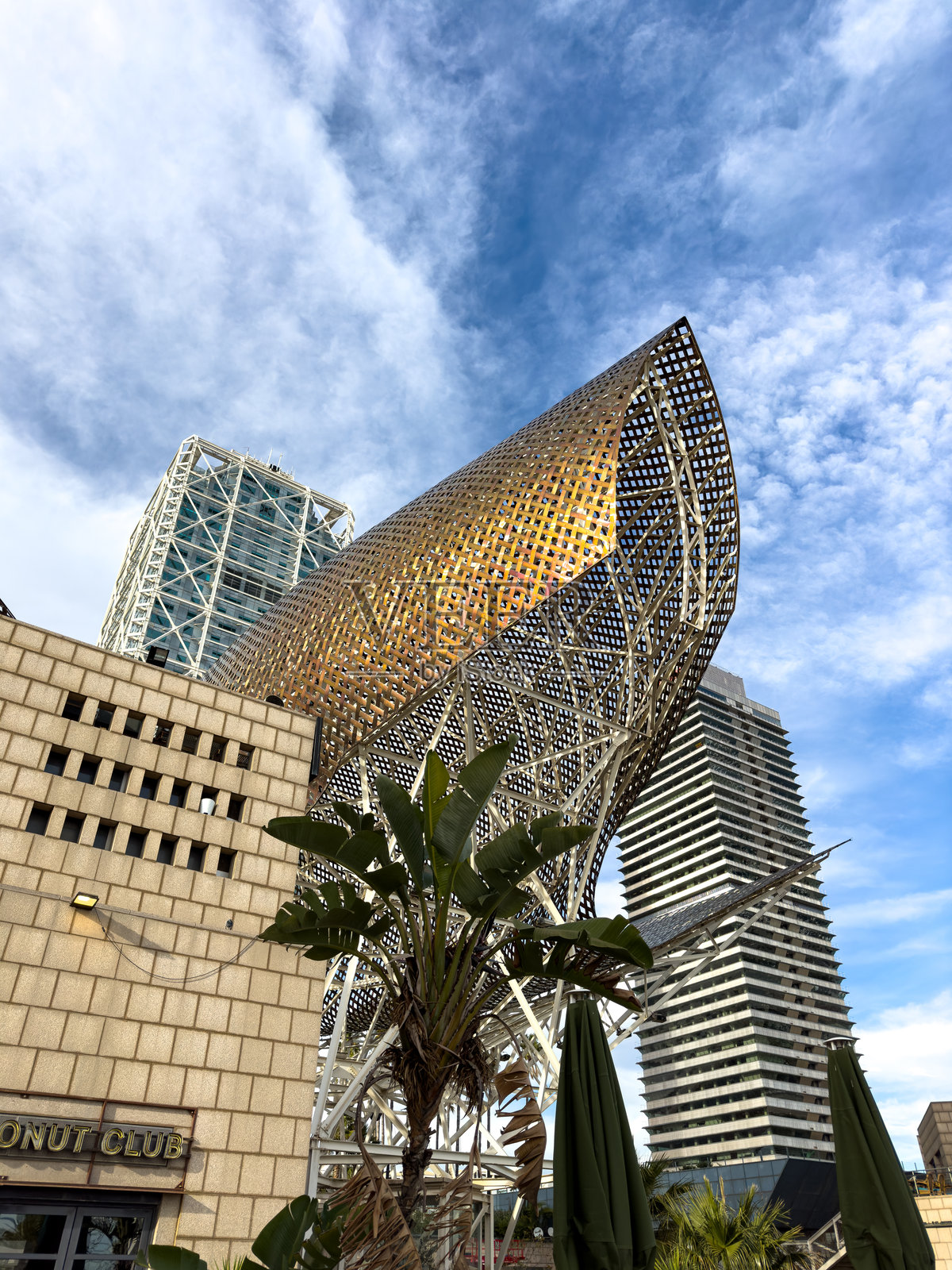 巴塞罗那巴尔塞罗内塔海滩的金鱼雕塑照片摄影图片