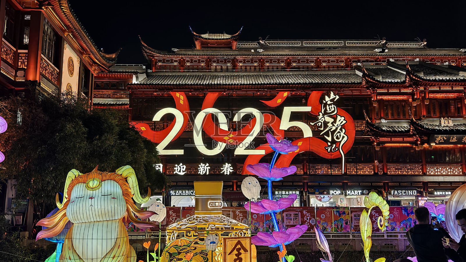 2025年上海城隍庙豫园灯会照片摄影图片