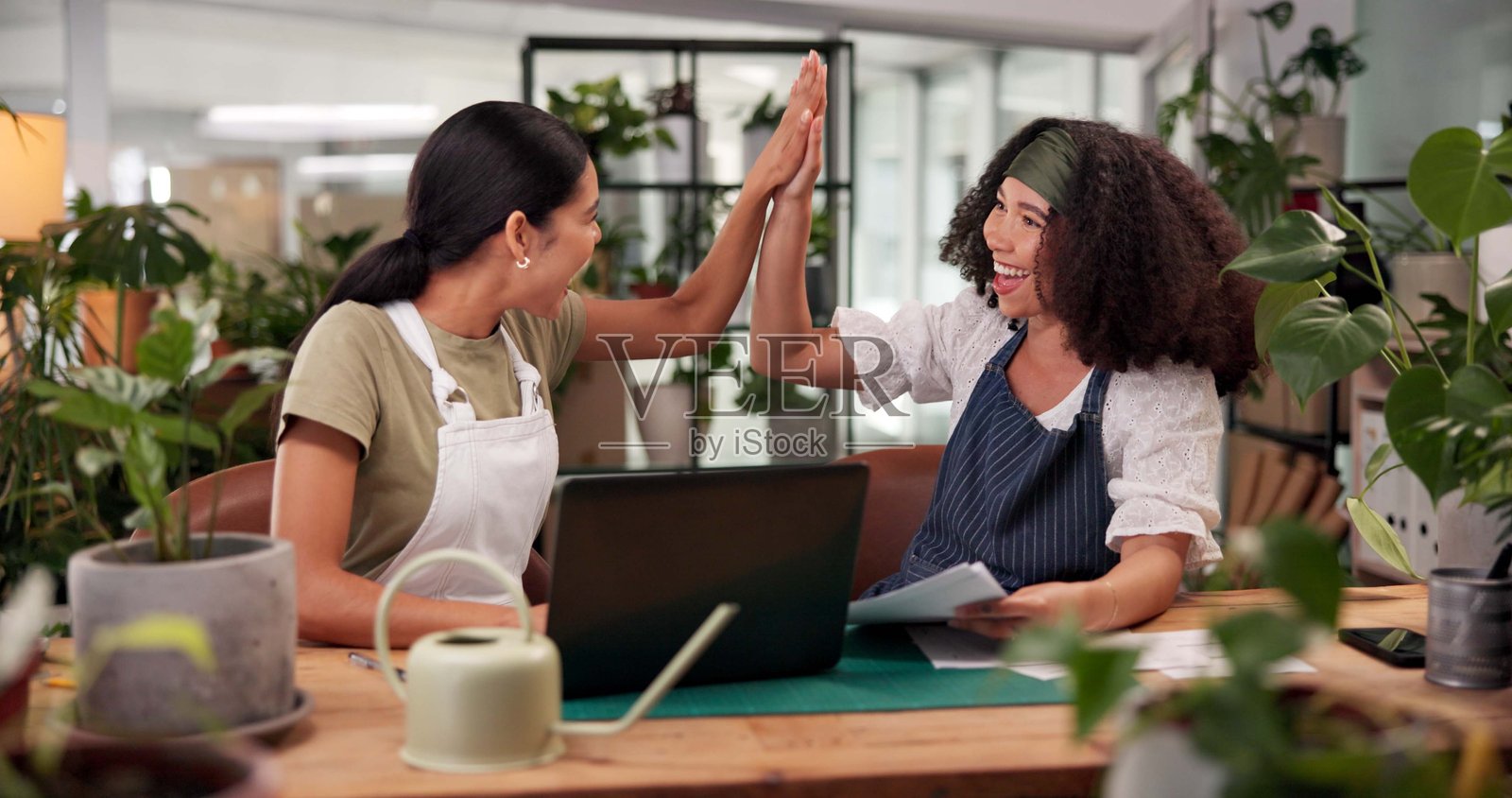 高五，笔记本电脑和在线订单，女性在植物苗圃中庆祝花卉销售的成功。预算、庆祝和电脑在花店，快乐的花艺师团队在办公桌前为目标而努力。照片摄影图片
