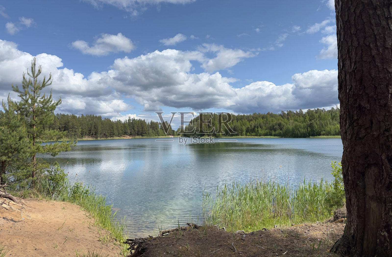 宁静湖泊的美丽景色，四周环绕着郁郁葱葱的森林，蓝天上飘着白云。照片摄影图片