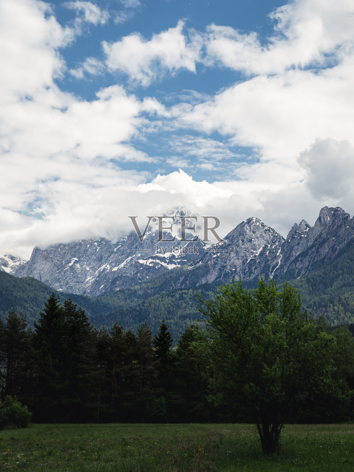 风景如画的阿尔卑斯山脉，雪山与郁郁葱葱的绿地相映成趣照片摄影图片