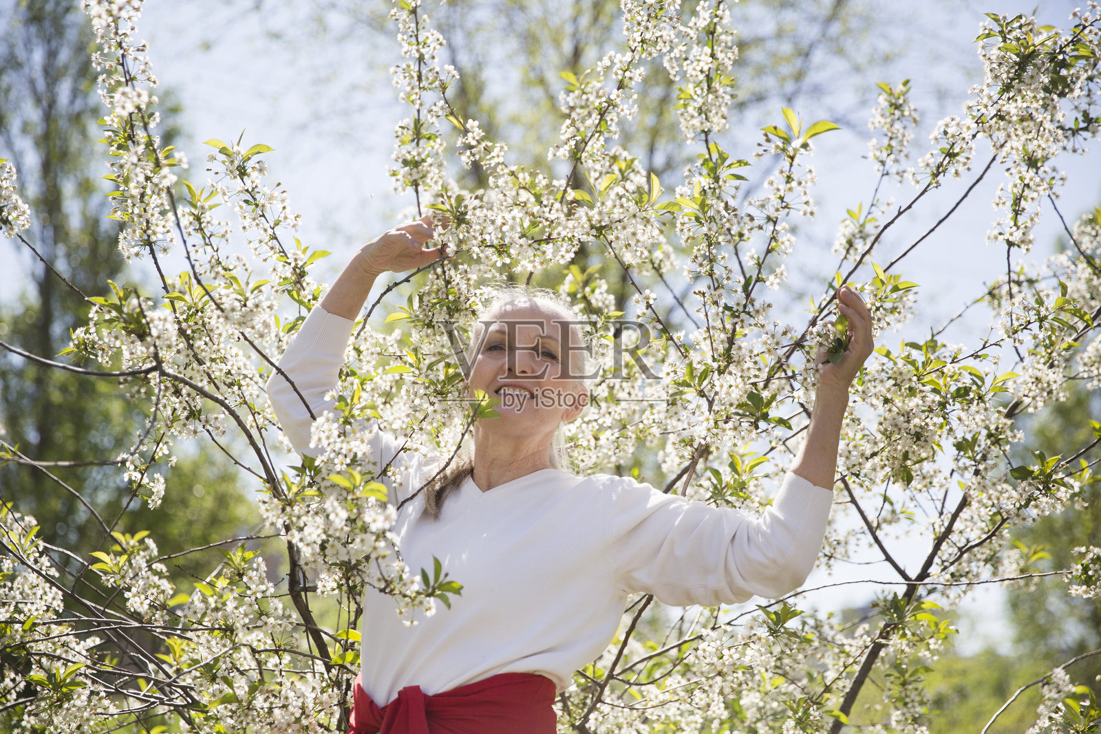 春天，一位银发的老年女性在花园中放松，享受大自然的时光。留白空间。照片摄影图片