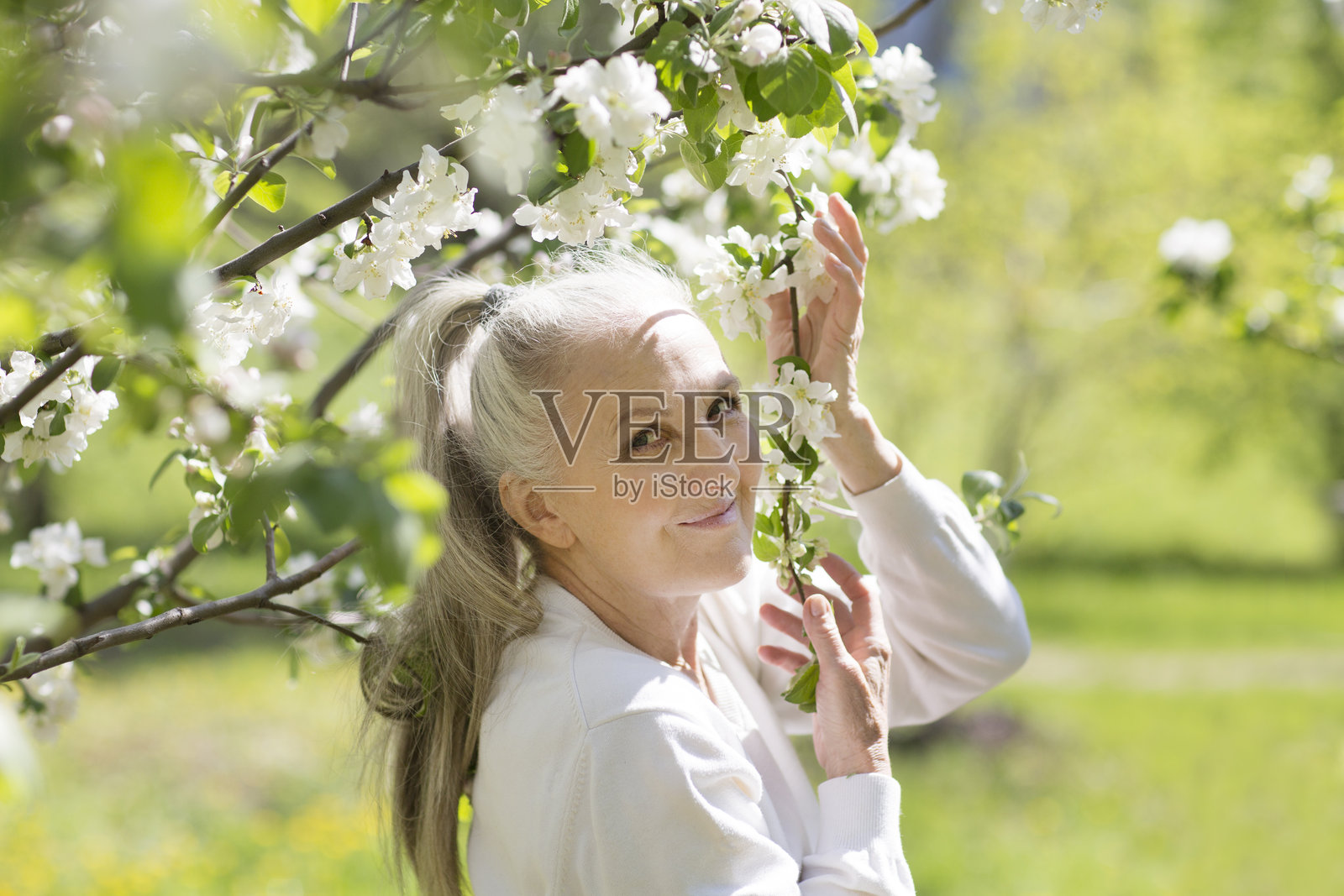 春天，一位银发的老年女性在花园中放松，享受大自然的时光。留白空间。照片摄影图片