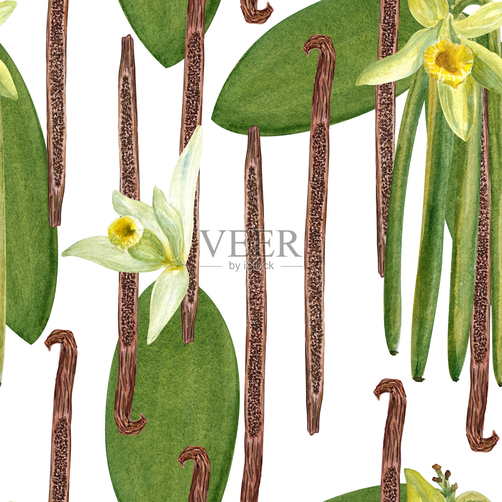 香草花和豆荚植物的水彩无缝图案，背景为白色。高质量手绘设计，完美适用于香料盒、咖啡菜单、甜点包装、包装纸和商标。插画图片素材