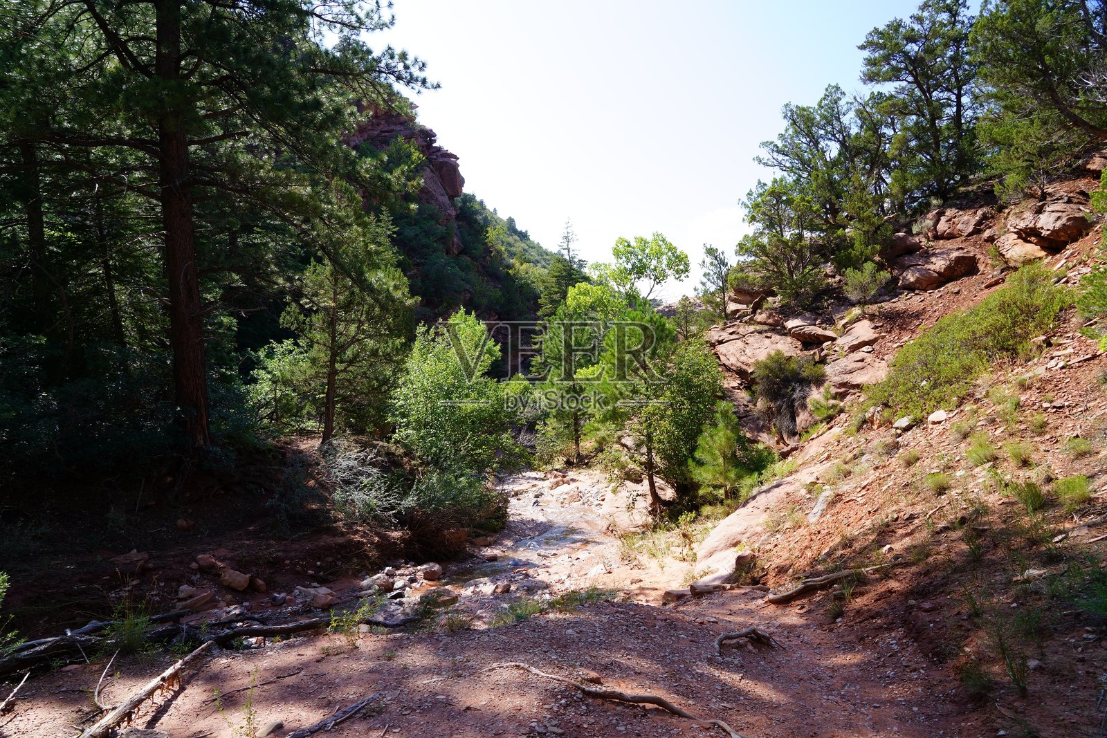 泰勒溪小径 - 锡安国家公园照片摄影图片
