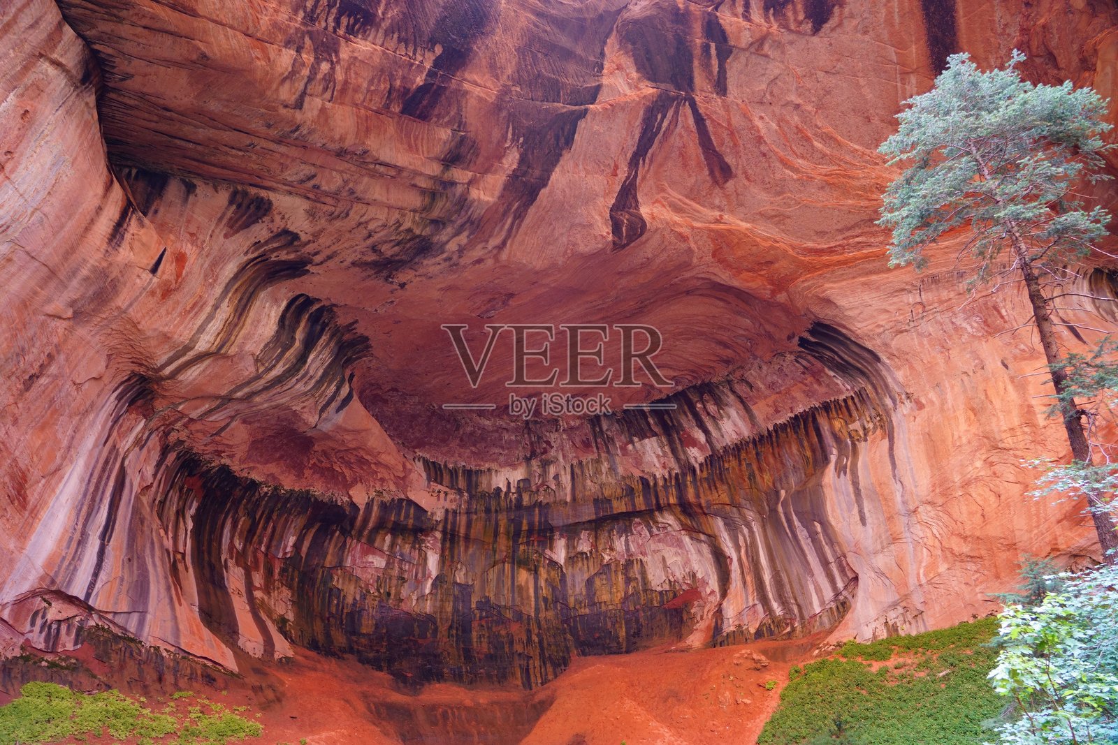 泰勒溪小径 - 锡安国家公园照片摄影图片