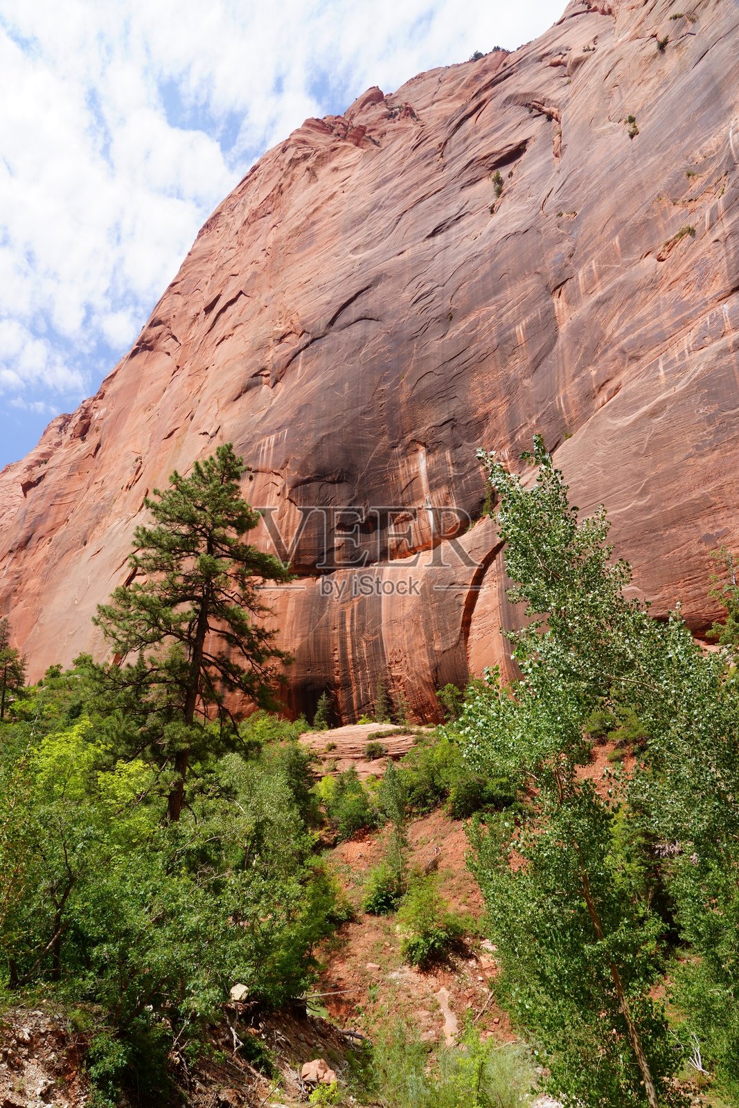 泰勒溪小径 - 锡安国家公园照片摄影图片
