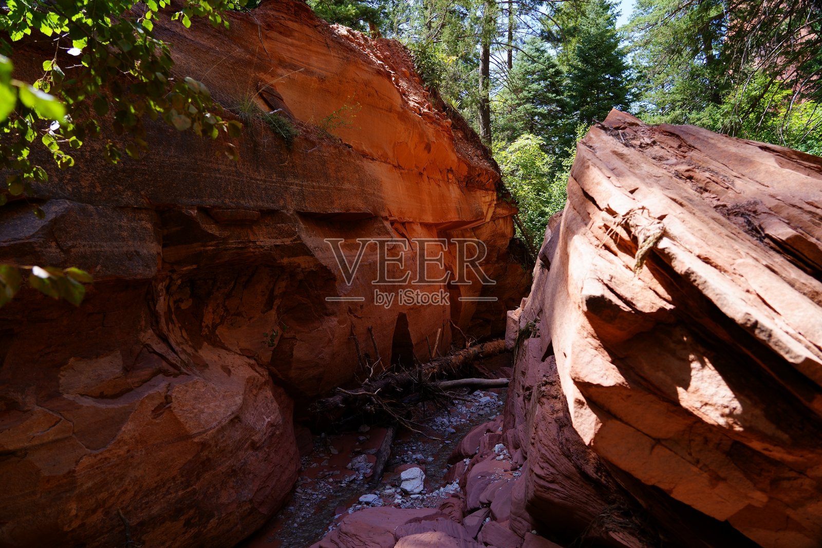 泰勒溪小径 - 锡安国家公园照片摄影图片