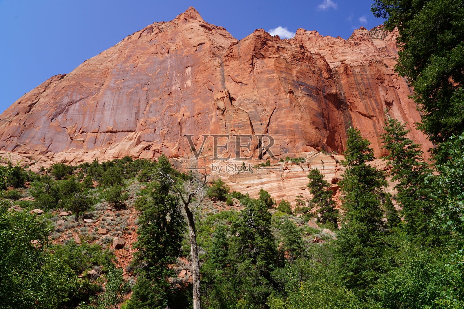 泰勒溪小径 - 锡安国家公园照片摄影图片